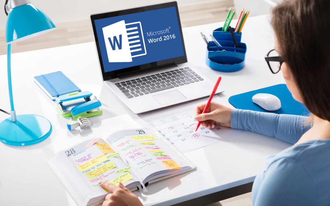 MS Office – WORD